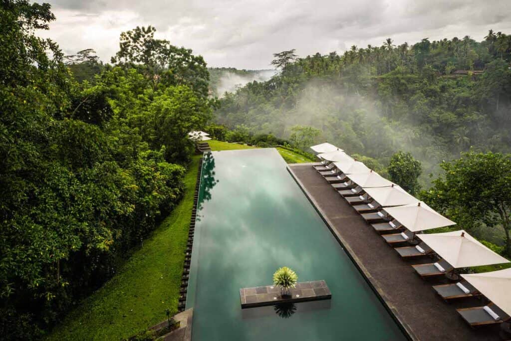 Olympic size pool on a hilltop surrounded by a forest of lush green grass and trees with dark brown wood lounge chairs and white umbrellas on side of pool