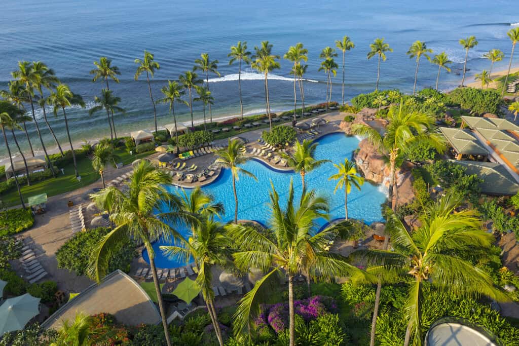 tall palm trees flanking large curvy pool at beachfront resort