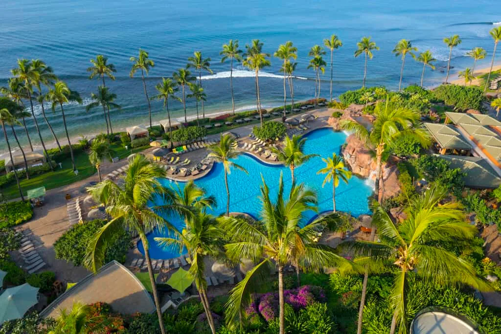 tall palm trees flanking large curvy pool at beachfront resort